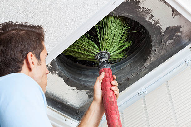 Best Affordable Duct Cleaning Services  in Park Hill, OK